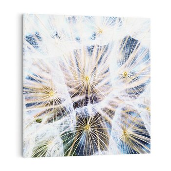 Obraz na płótnie 60x60 - marzenia w locie - dmuchawce, dmuchawiec