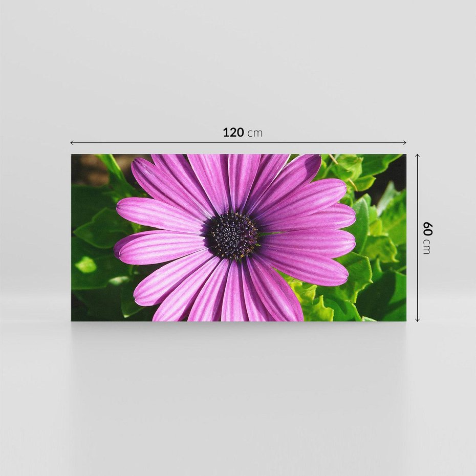 Obraz na płótnie 120x60 - Kwiatowy Dotyk - kwiat, kwiaty