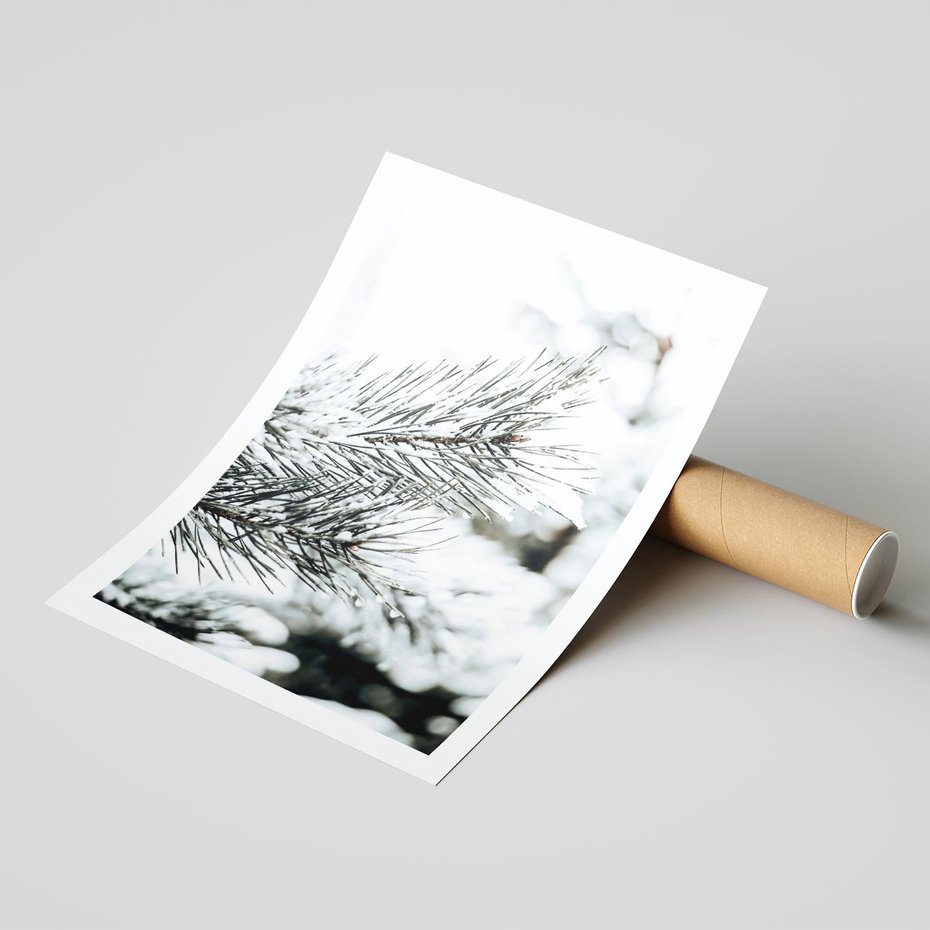 Plakat bez ramy 30x40 - Chwila Zimowej Magii - iglasta gałązka, śnieg