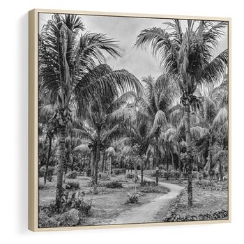Obraz w ramie 80x80 - Mroczna Ścieżka Tropików - czarno biała fotografia, ścieżka pośród palm - rama drewno