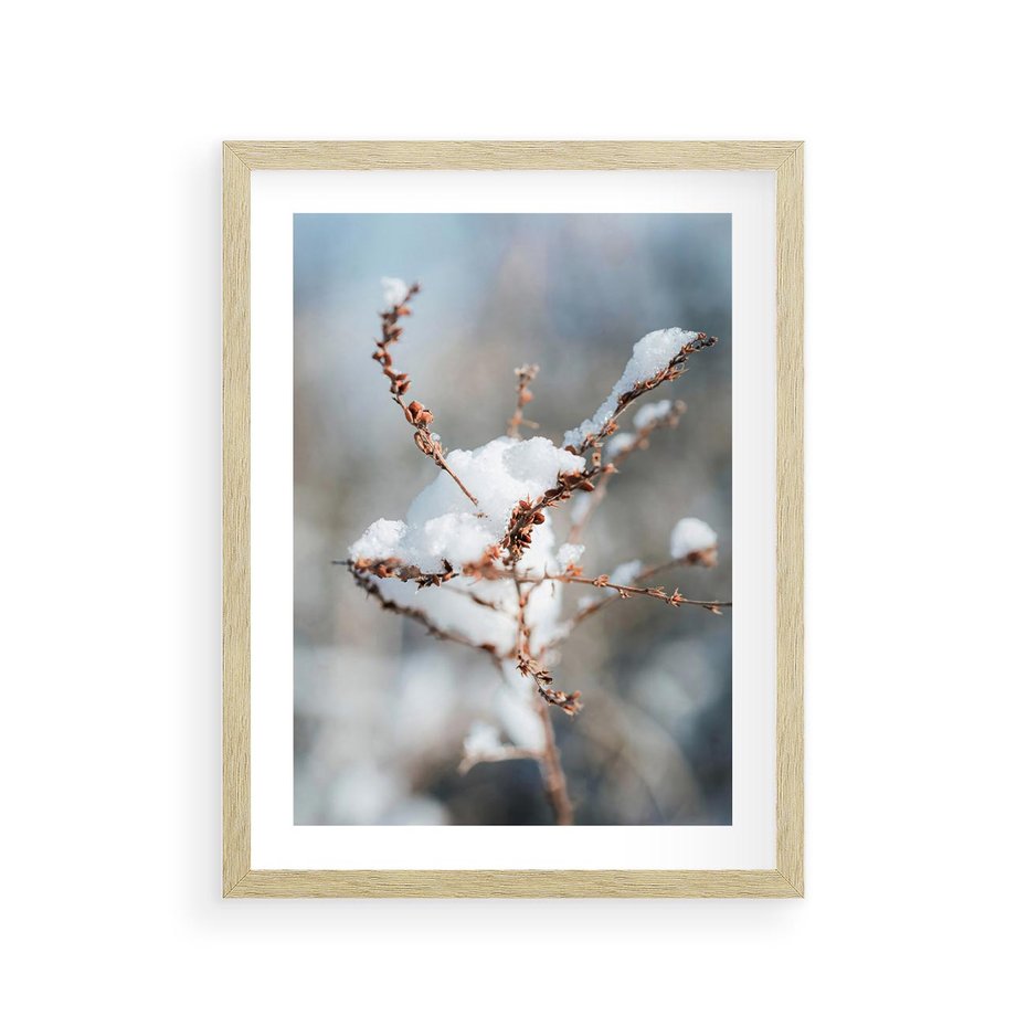 Plakat w ramie 30x40 - Zimowy Urok Natury - gałązki pod śniegiem, natura - rama drewno