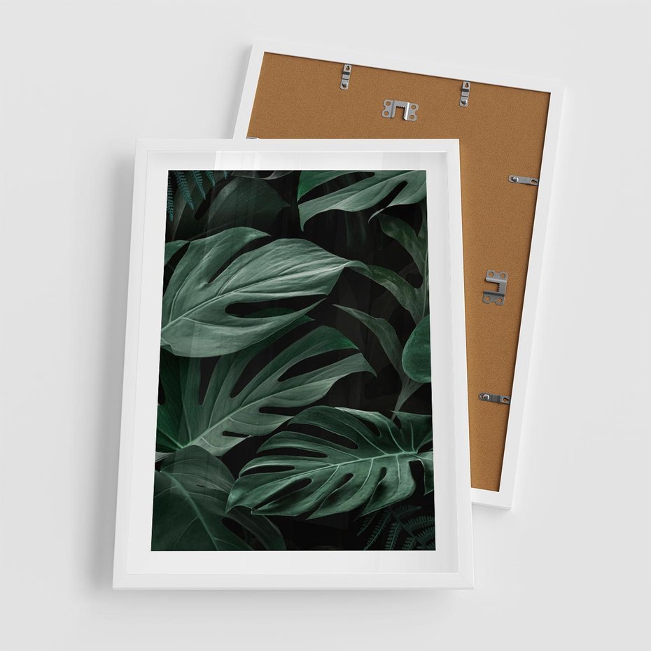 Plakat w ramie 50x70 - Zielone Liście Monstery w Dżungli - zielone liście monstery, dżungla - rama biała