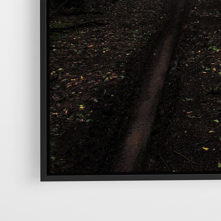 Obraz w ramie 70x100 - Urok Drogi - las, droga - rama czarna