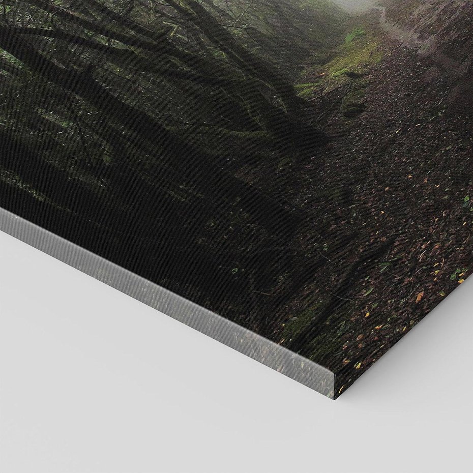 Obraz na płótnie 120x80 - Urok Drogi - las, droga