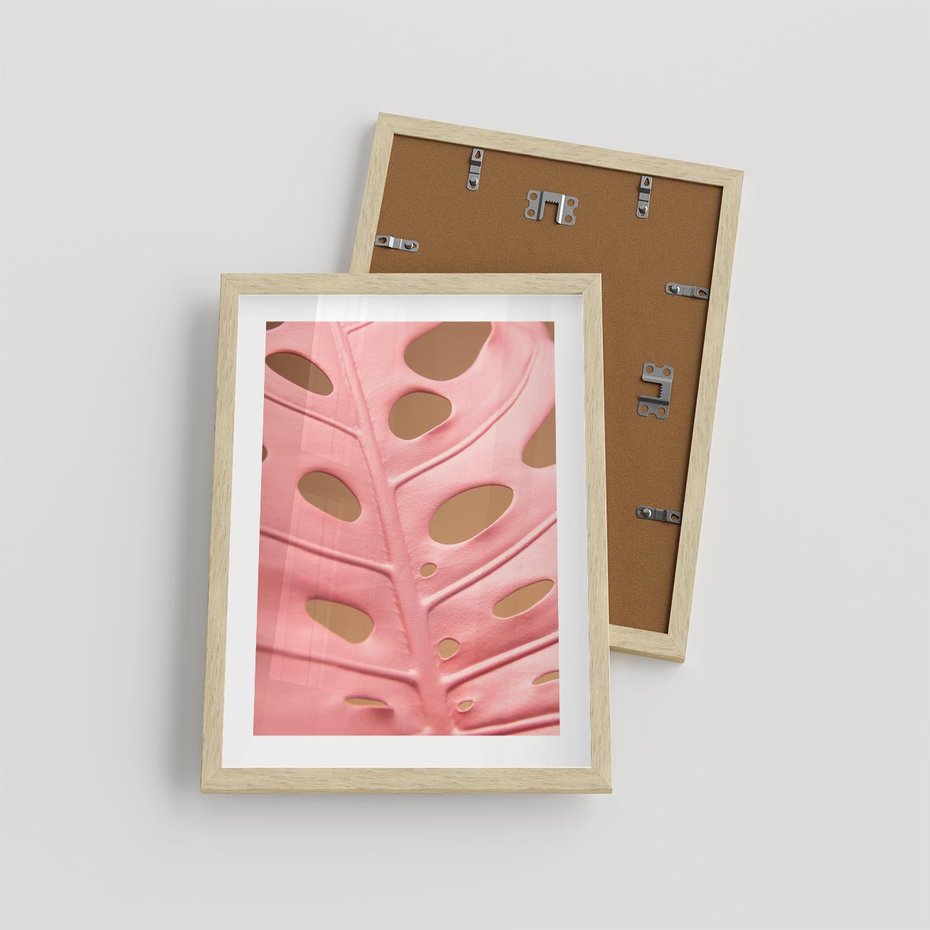 Plakat w ramie 30x40 - Różowy Liść Monstery - różowy liść monstery, nowoczesna fotografia - rama drewno