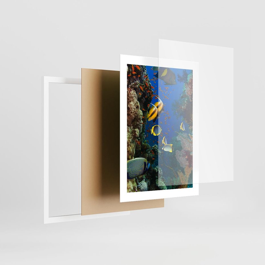 Plakat w ramie 30x40 - Podwodne królestwo rafy koralowej - rafa, koralowa - rama biała