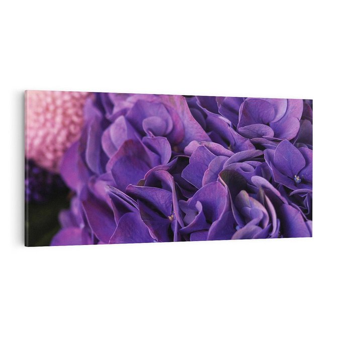 Obraz na płótnie 100x50 - Fioletowa hortensja - kwiaty, hortensja