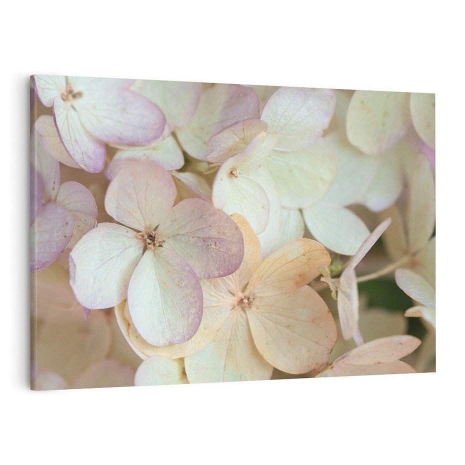 Obraz na płótnie 120x80 - Kwiatowy taniec - kwiaty, hortensje