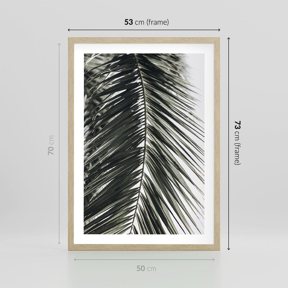 Plakat w ramie 50x70 - Liść Palmy: Egzotyczny Detal Natury - palma, liść palmy - rama drewno