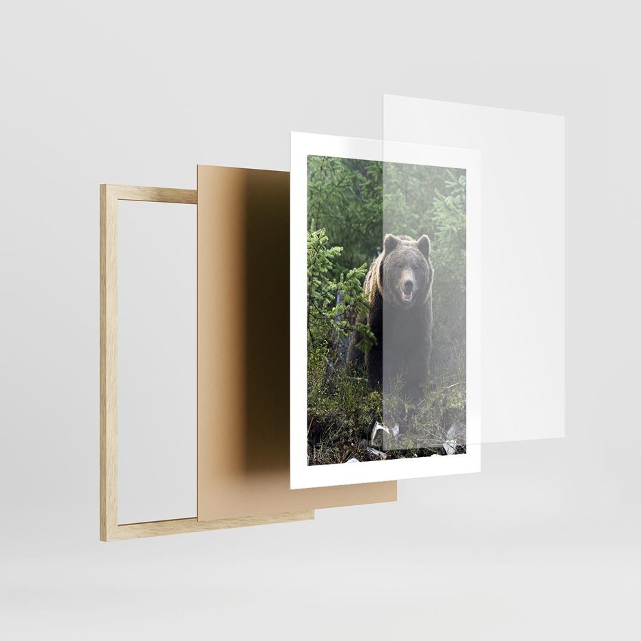 Plakat w ramie 30x40 - Spotkanie z Niedźwiedziem w Lesie - niedźwiedź, las - rama drewno