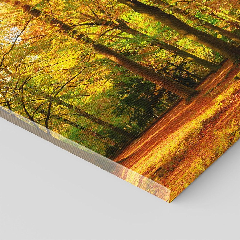 Obraz na płótnie 80x120 - Urok jesiennego lasu - las, drzewa