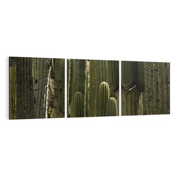 Obraz na płótnie 120x40 - Wyjątkowy Klimat Boho - kaktusy, pustynia