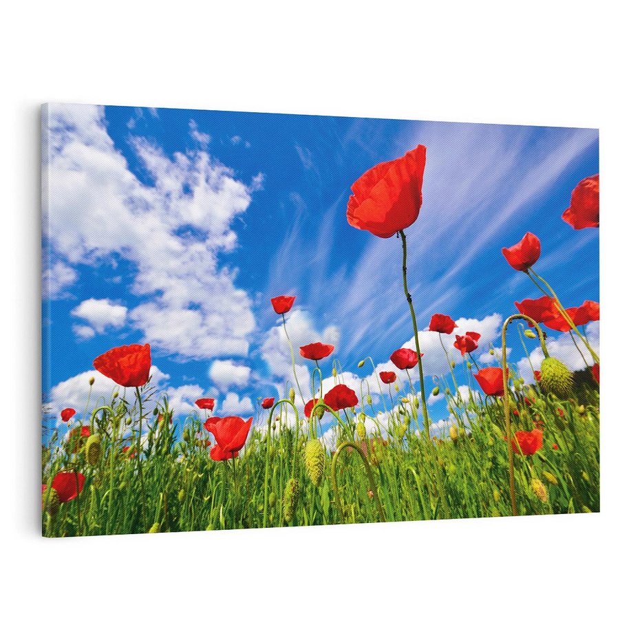 Obraz na płótnie 120x80 - Soczyste Kolory Przyrody - mak, maki