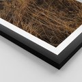 Plakat w ramie 40x50 - Szlachetna Suchość Traw - trawy, suche trawy - rama czarna