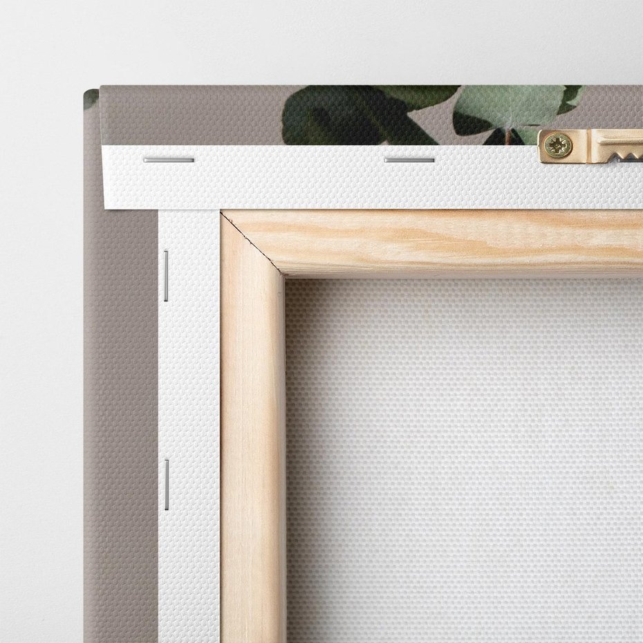 Obraz na płótnie 50x70 - Eukaliptusowe liście w okularach - liście, eukaliptus