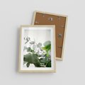 Plakat w ramie 30x40 - Zielony Świat Eukaliptusa - eukaliptus, fotografia - rama drewno