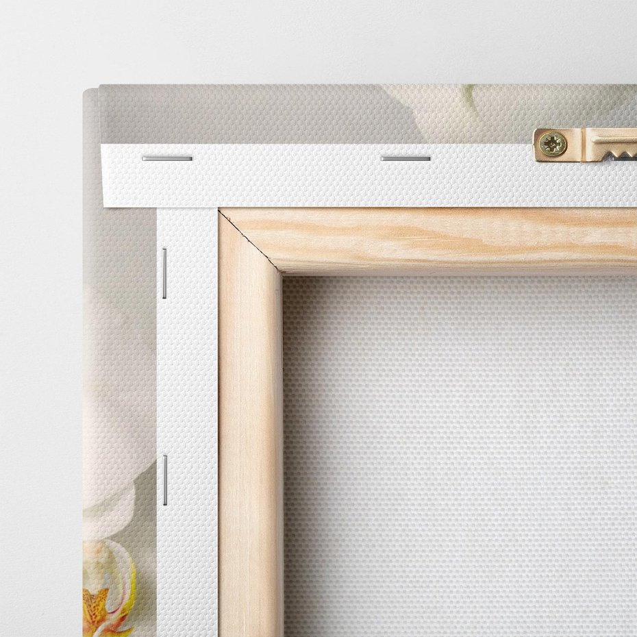 Obraz na płótnie 60x60 - Elegancka uroda orchidei - orchidea, kwiaty