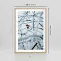 Plakat w ramie 50x70 - Zima w Detalu: Gałęzie ze Szronem i Śniegiem - śnieg, zima - rama drewno