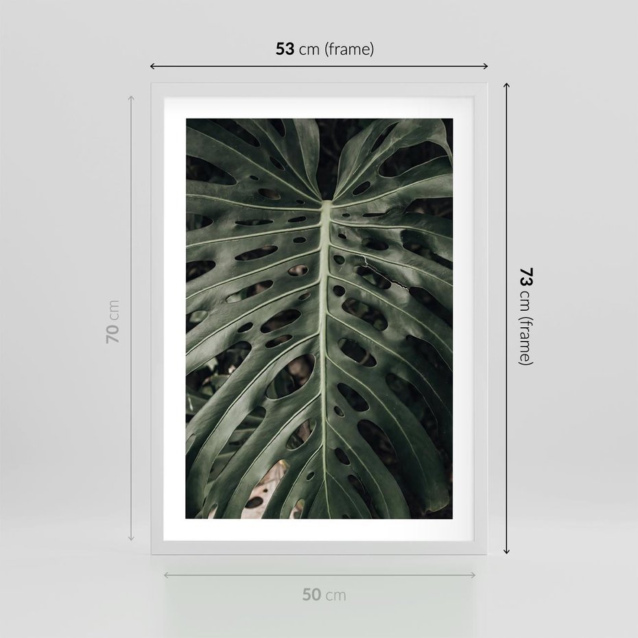 Plakat w ramie 50x70 - Majestatyczny Liść Monstery - liść monstery, majestatyczny liść - rama biała