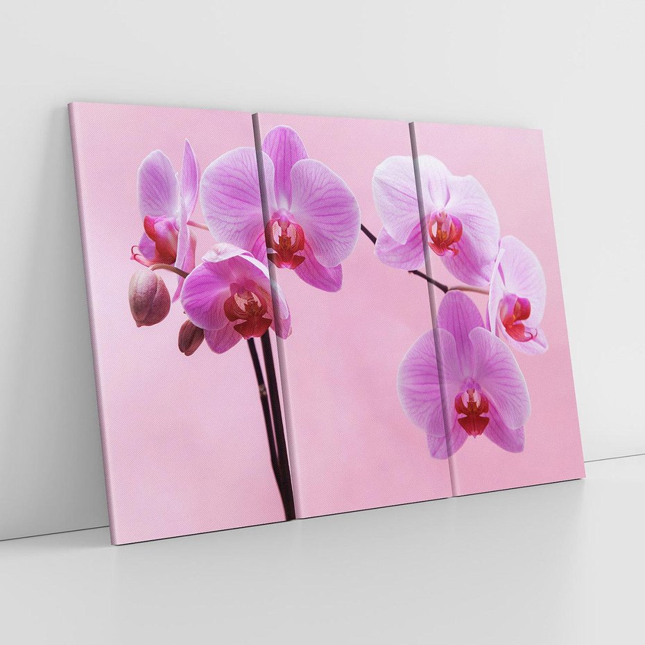 Obraz na płótnie 120x80 - Elegancka orchidea w pełnym rozkwicie - orchidea, kwiaty