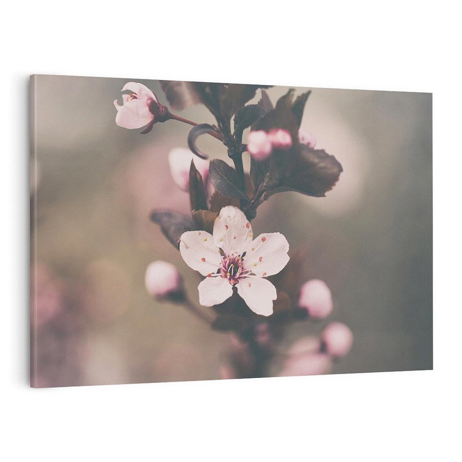 Obraz na płótnie 100x70 - Przemijający Urok - kwitnąca, wiśnia