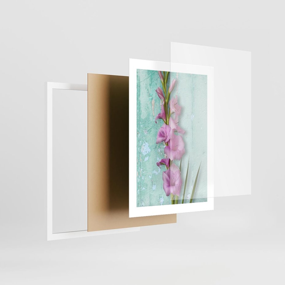 Plakat w ramie 30x40 - Piękno w delikatności - kwiaty, różowe - rama biała