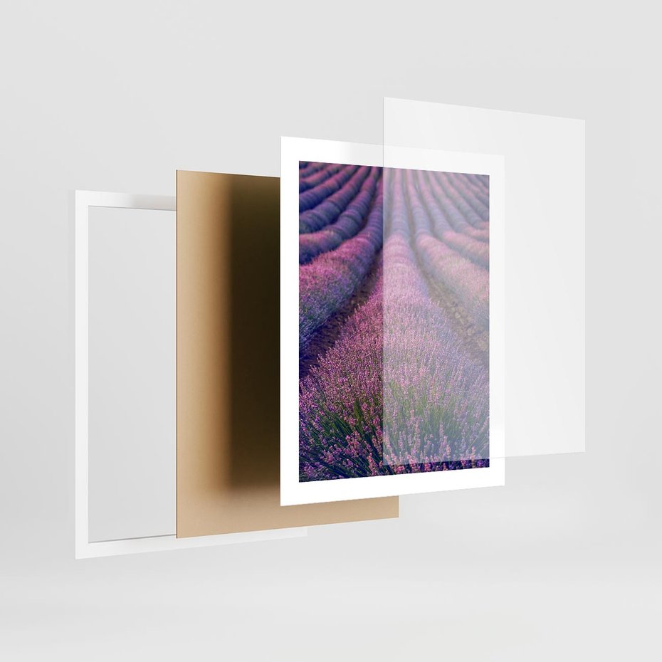 Plakat w ramie 40x50 - Pole Lawendy w Pełnej Krasie - pole lawendy, kompozycja - rama biała