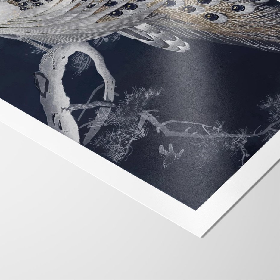 Plakat bez ramy 21x30 - Japońskie Pawie - japońska grafika, pawie