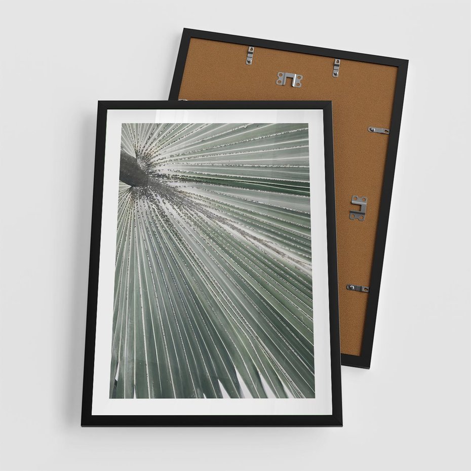 Plakat w ramie 50x70 - Jasnozielony Świat - palma, liść - rama czarna