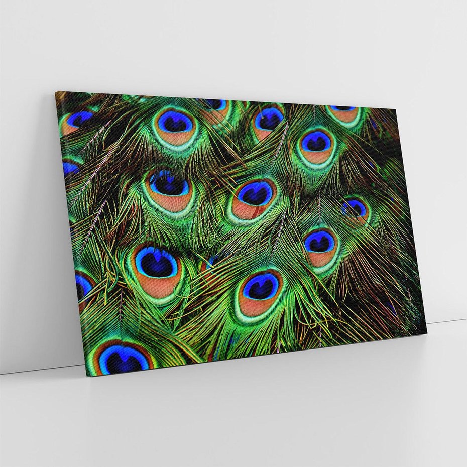 Obraz na płótnie 70x50 - Pawi Ogon - Piękno i Wspaniałość - paw, pióra