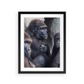 Plakat w ramie 30x40 - Małpy w ich naturalnym środowisku - małpy, szympansy - rama czarna