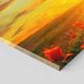 Obraz na płótnie 120x60 - Magia zachodu słońca na łące z makami - łąka, zachód słońca