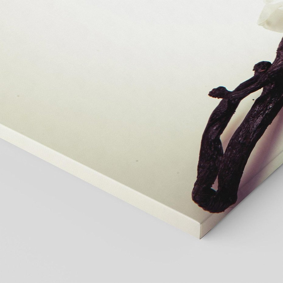 Obraz na płótnie 100x50 - Czuła delikatność wanilii - wanilia, kwiaty