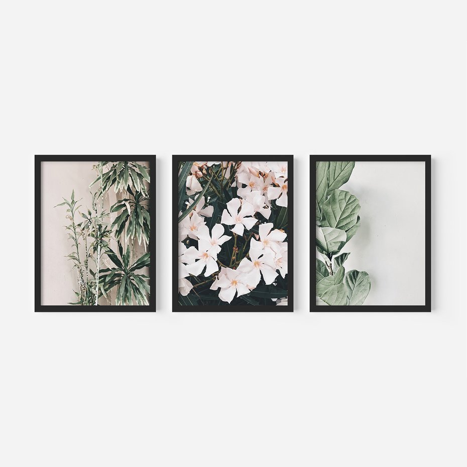Zestaw obrazy w ramie 40x50 galeria - Liście, kwiaty, nowoczesny, styl - rama czarna