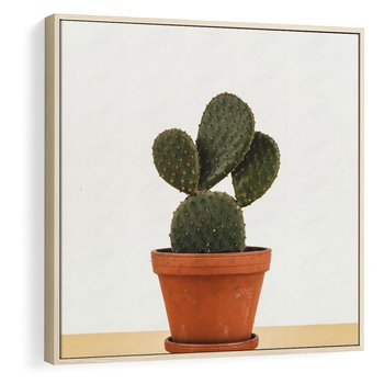 Obraz w ramie 50x50 - Kwiatowy taniec kaktusa - kaktus, kwiat - rama drewno