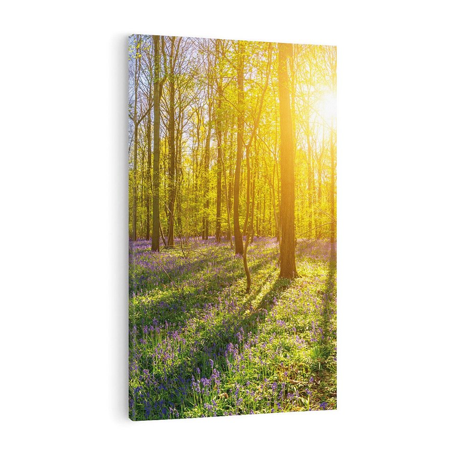 Obraz na płótnie 50x70 - Uroda lasu: harmonia drzew - las, drzewa