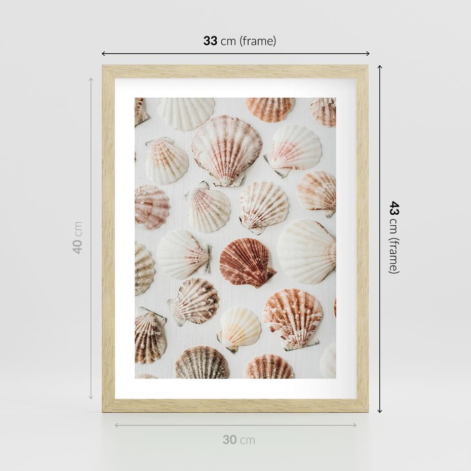 Plakat w ramie 30x40 - Morska Delikatność: Muszelki na Białym Tle - kompozycja, morskie muszelki na białym tle - rama drewno