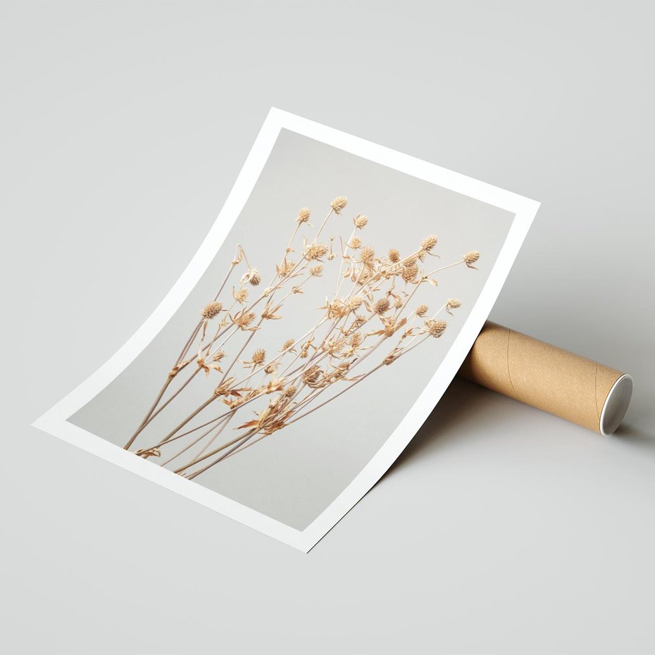 Plakat bez ramy 21x30 - Delikatne gipsówki - gipsówka, suche