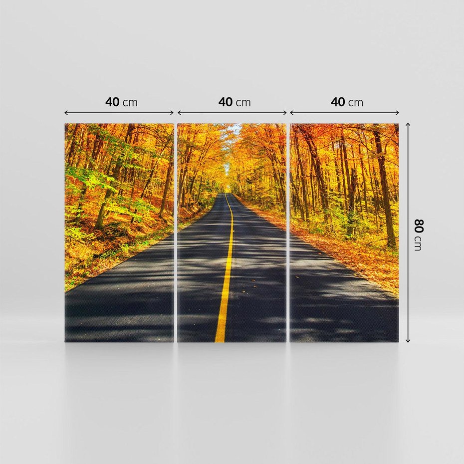 Obraz na płótnie 120x80 - Droga przez jesienny las - droga, las