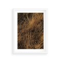 Plakat w ramie 30x40 - Szlachetna Suchość Traw - trawy, suche trawy - rama biała