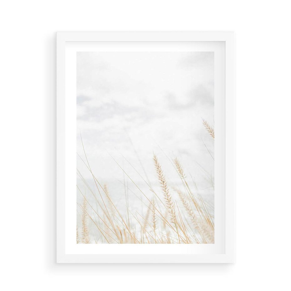 Plakat w ramie 50x70 - Jasna Delikatność: Fotografia Suchych Traw - suche trawy, jasna fotografia - rama biała
