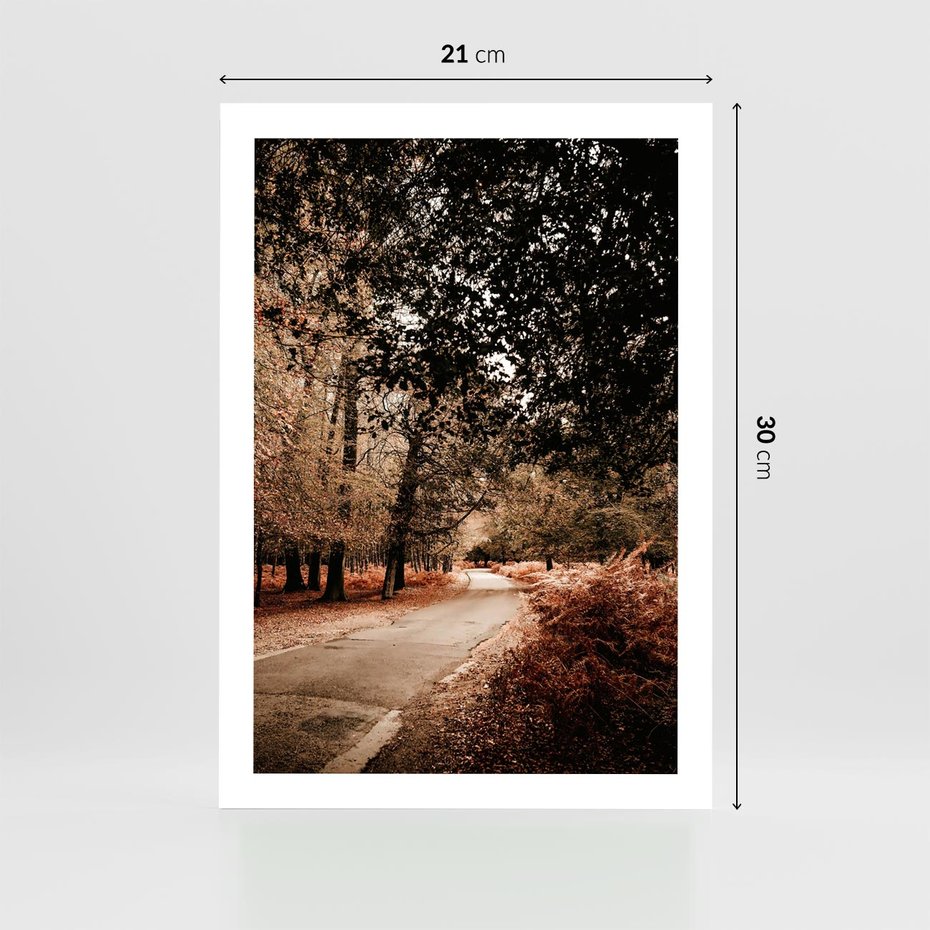 Plakat bez ramy 21x30 - Magia Jesieni: Pejzaż Parku w Odcieniach Żółci - jesień, park