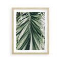 Plakat w ramie 40x50 - Spokojna Piękność Palmowych Liści - palma, liście palmy - rama drewno