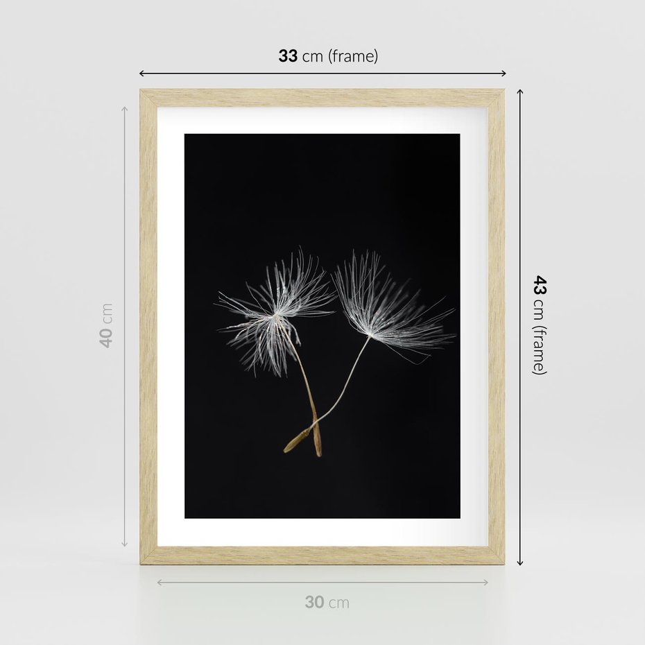Plakat w ramie 30x40 - Delikatność Wiatru - dmuchawce, makro - rama drewno