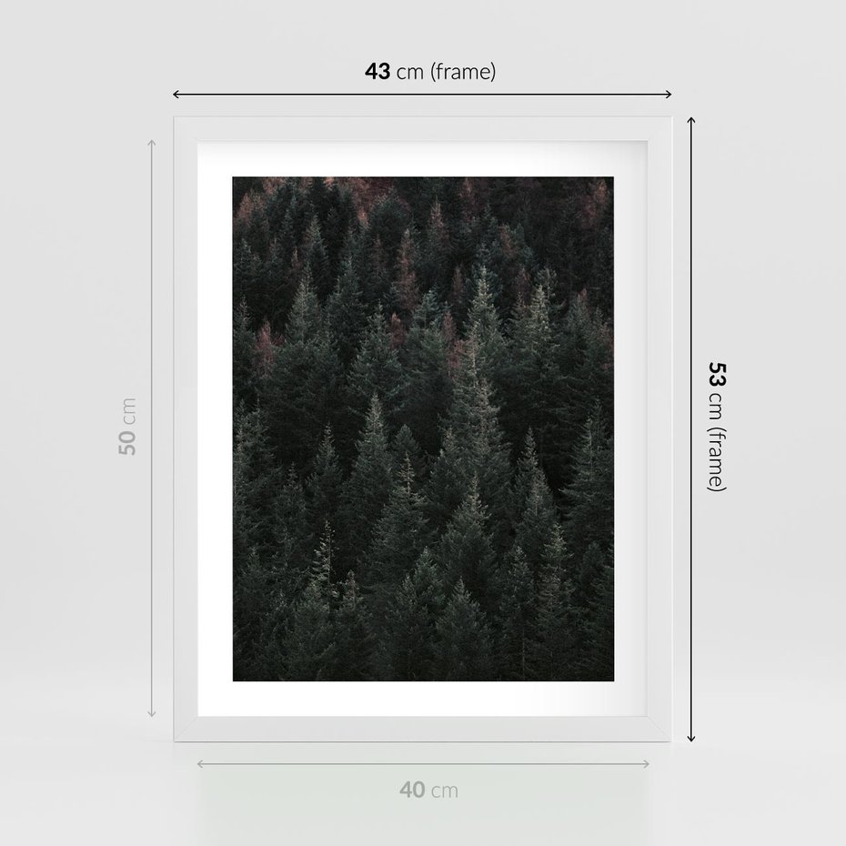 Plakat w ramie 40x50 - Wysoko nad Iglastym Lasem - las, perspektywa - rama biała