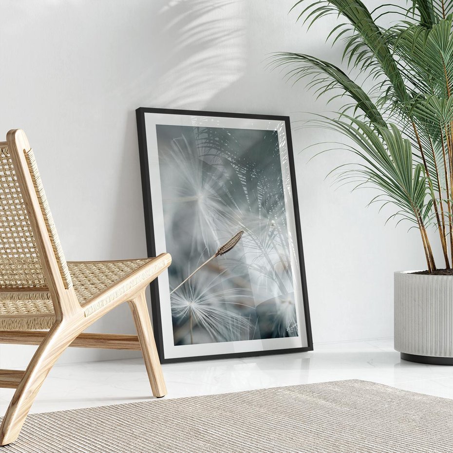 Plakat w ramie 40x50 - Piękno w Delikatności - dmuchawiec, makro zdjęcie - rama czarna