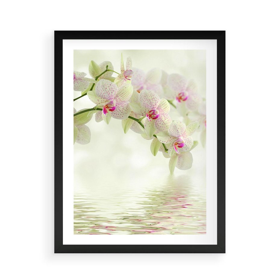 Plakat w ramie 50x70 - Orchidea w Spa - orchidea, kwiaty - rama czarna