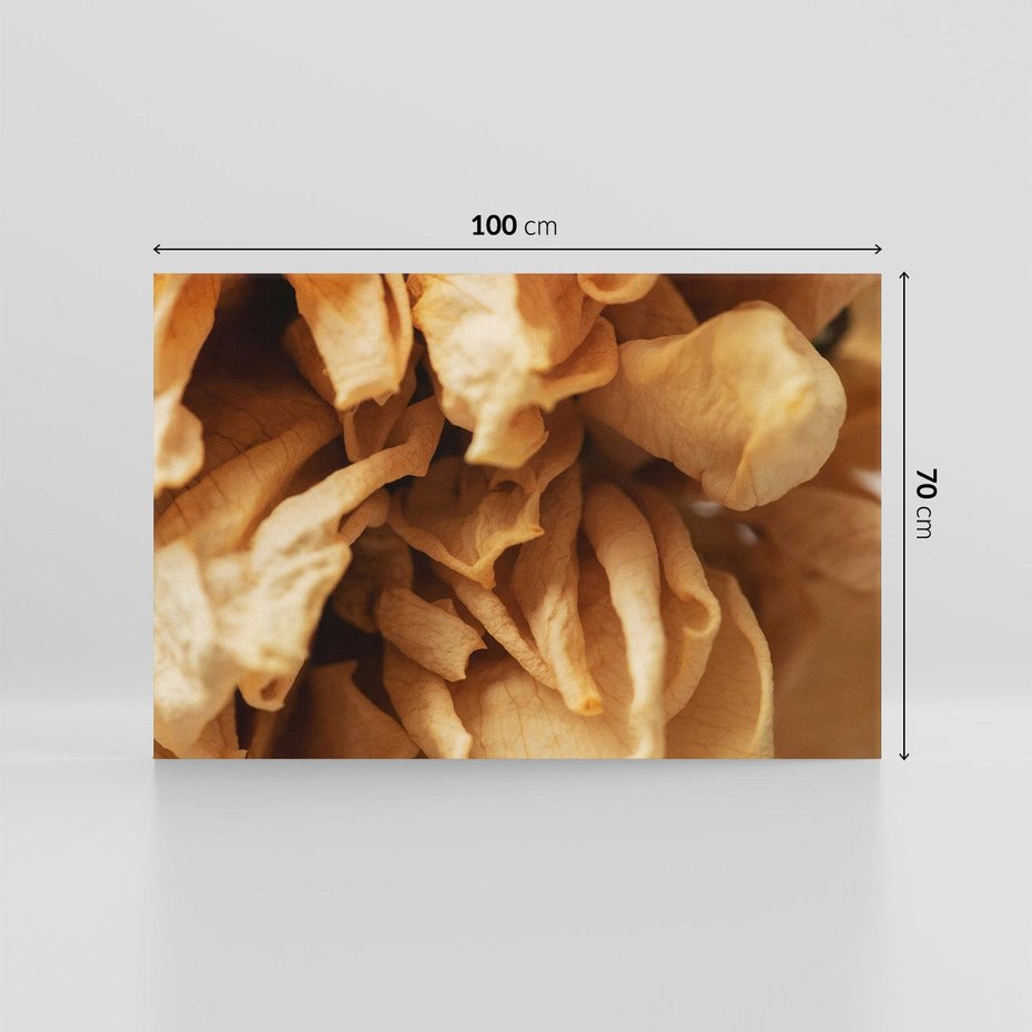 Obraz na płótnie 100x70 - Zjawiskowe zasuszone kwiaty - zasuszone, kwiaty