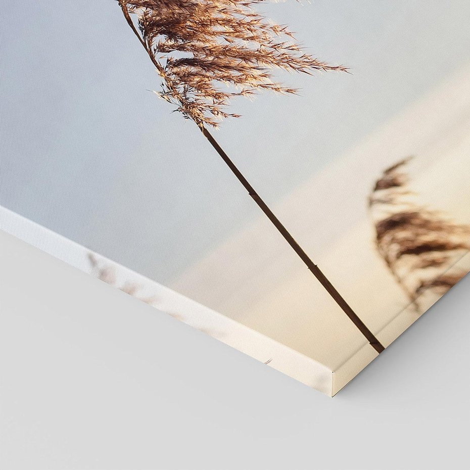 Obraz na płótnie 40x40 - Naturalna Delikatność - trawy, boho