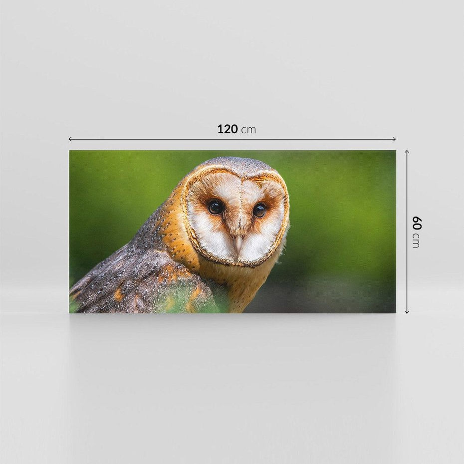 Obraz na płótnie 120x60 - Sowa nocą - sowa, ptak